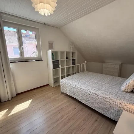 House With Sauna And Parking Near Basel And Euroairport Saint-Louis (Haut-Rhin)