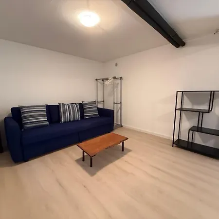 Feriehus House With Sauna And Parking Near Basel And Euroairport